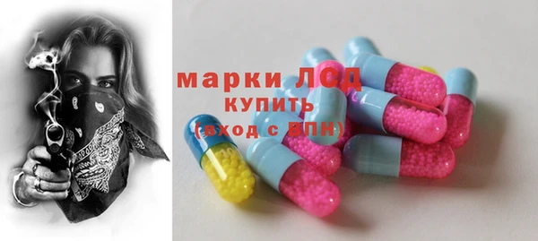 стаф Аркадак