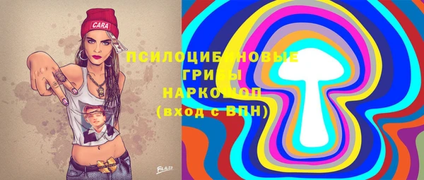 стаф Аркадак