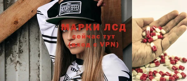 стаф Аркадак