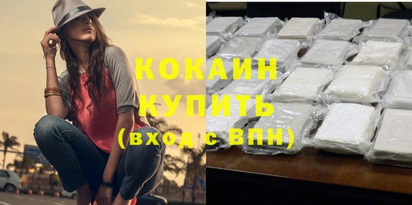 стаф Аркадак